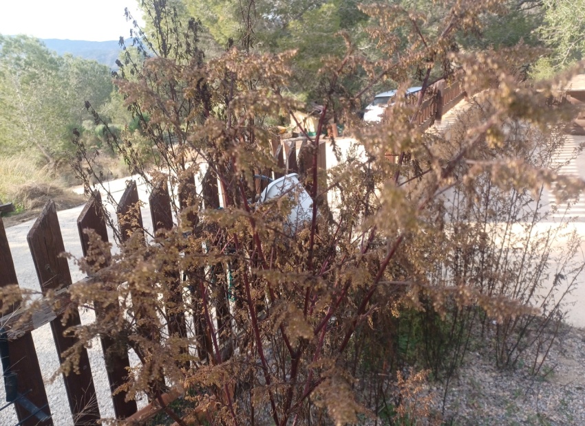 Herverkoop - Villa - Gea Y Truyols