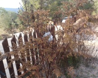 Herverkoop - Villa - Gea Y Truyols