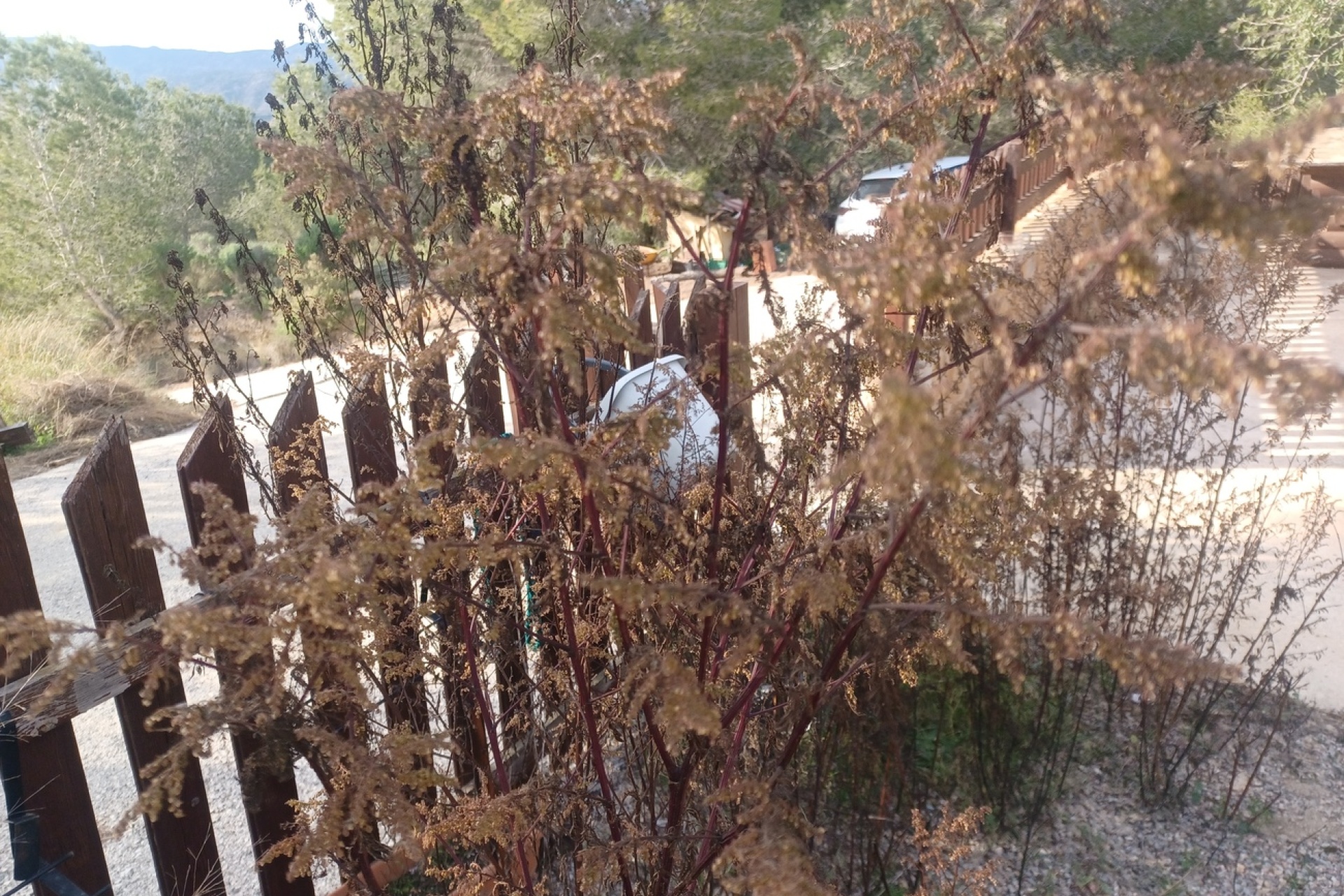 Herverkoop - Villa - Gea Y Truyols