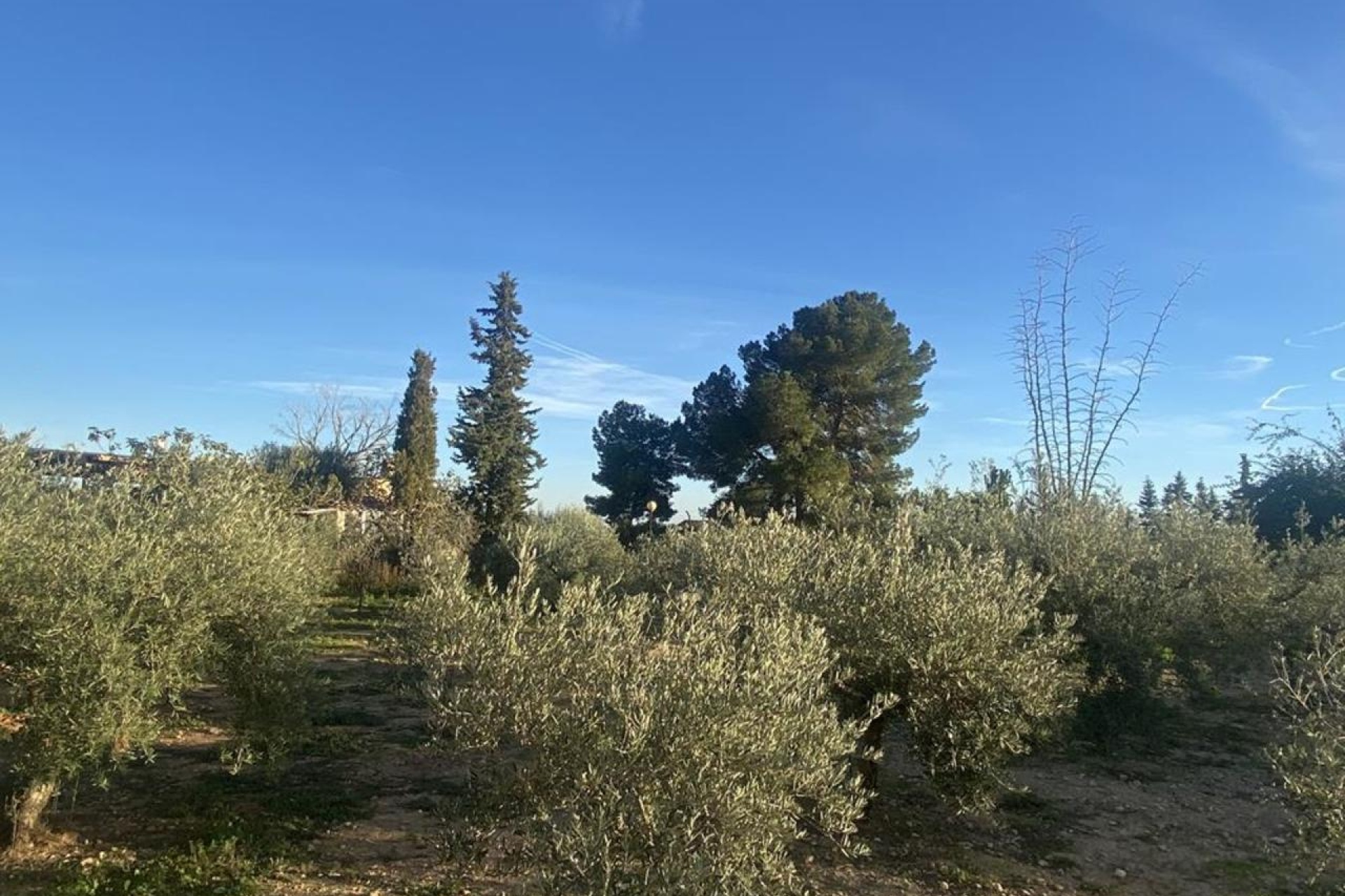 Herverkoop - Villa - Gea Y Truyols