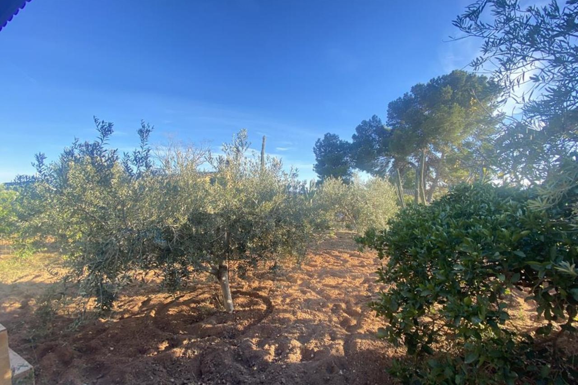 Herverkoop - Villa - Gea Y Truyols