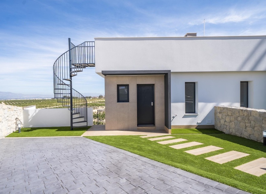 New Build - Villa - Algorfa