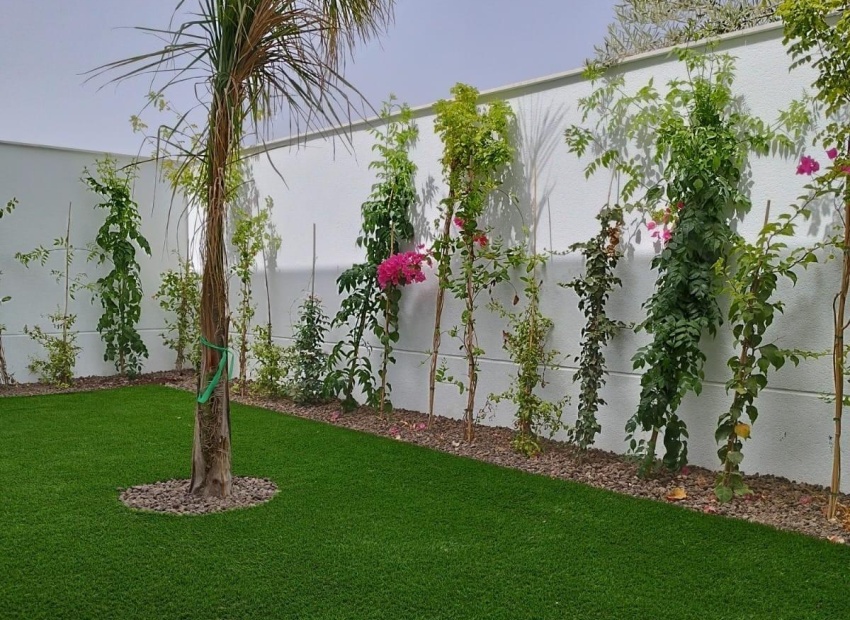 New Build - Villa - San Javier - Mar Menor