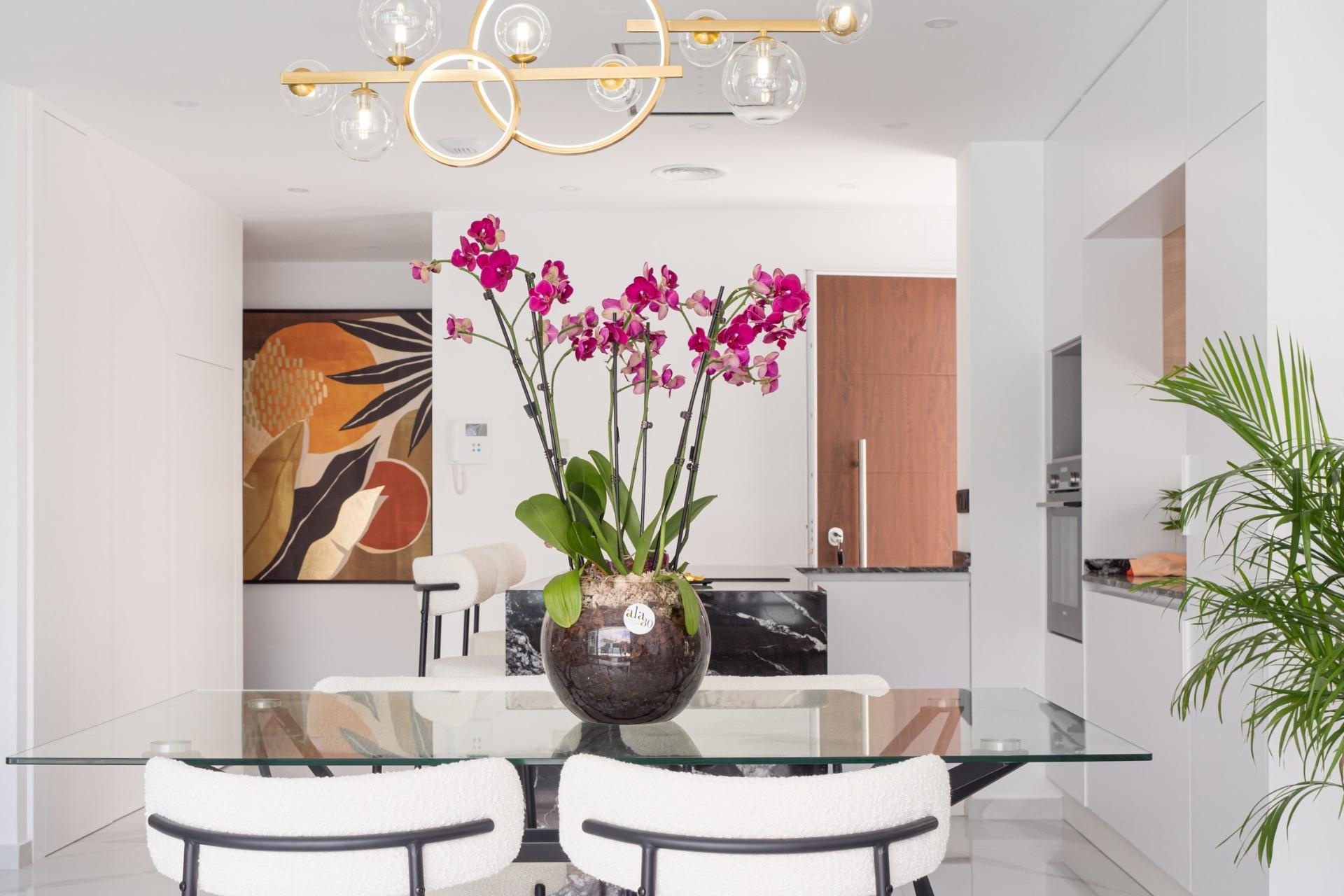 New Build - Villa - San Pedro del Pinatar - Mar Menor