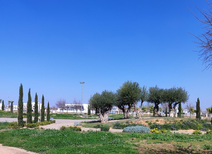 Nieuwbouw Woningen - Apartment - Torre Pacheco