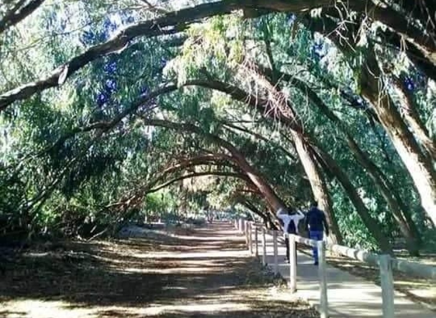 Nieuwbouw Woningen - Apartment - Torrevieja