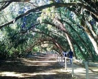 Nieuwbouw Woningen - Apartment - Torrevieja