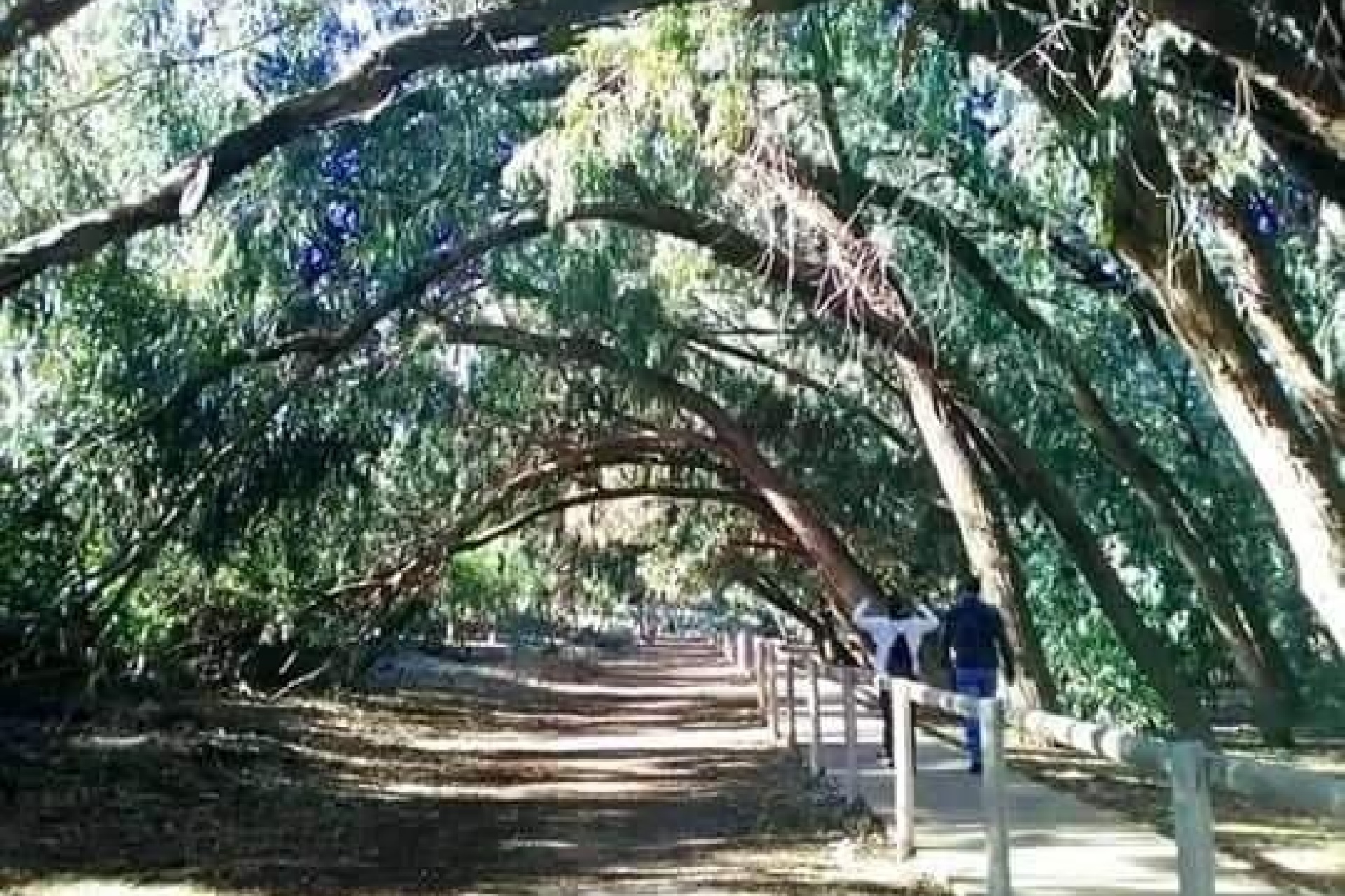 Nieuwbouw Woningen - Apartment - Torrevieja