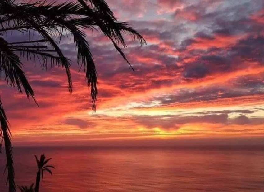 Nieuwbouw Woningen - Apartment - Torrevieja