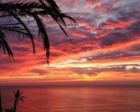 Nieuwbouw Woningen - Apartment - Torrevieja