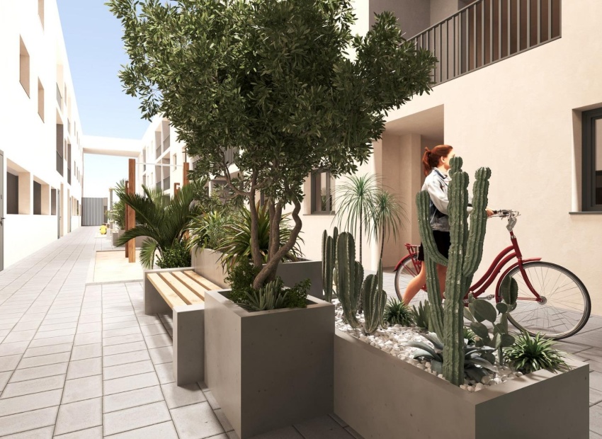 Nouvelle construction - Appartement - San Miguel de Salinas