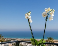 Nouvelle construction - Appartement - Santa Pola