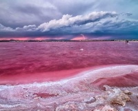 Nouvelle construction - Appartement - Torrevieja