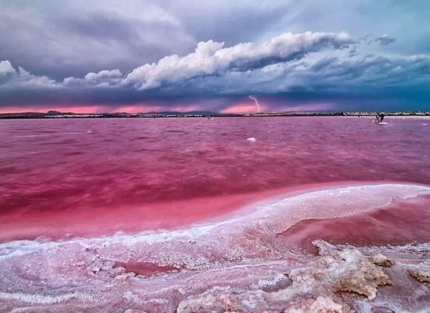 Nouvelle construction - Appartement - Torrevieja