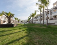 Nouvelle construction - Appartement - Torrevieja
