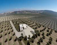 Nouvelle construction - Villa - Algorfa