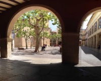 Nouvelle construction - Villa - Aspe