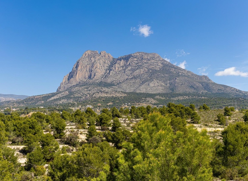 Nouvelle construction - Villa - Finestrat