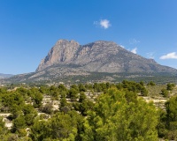 Nouvelle construction - Villa - Finestrat