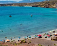 Nouvelle construction - Villa - Fuente Álamo