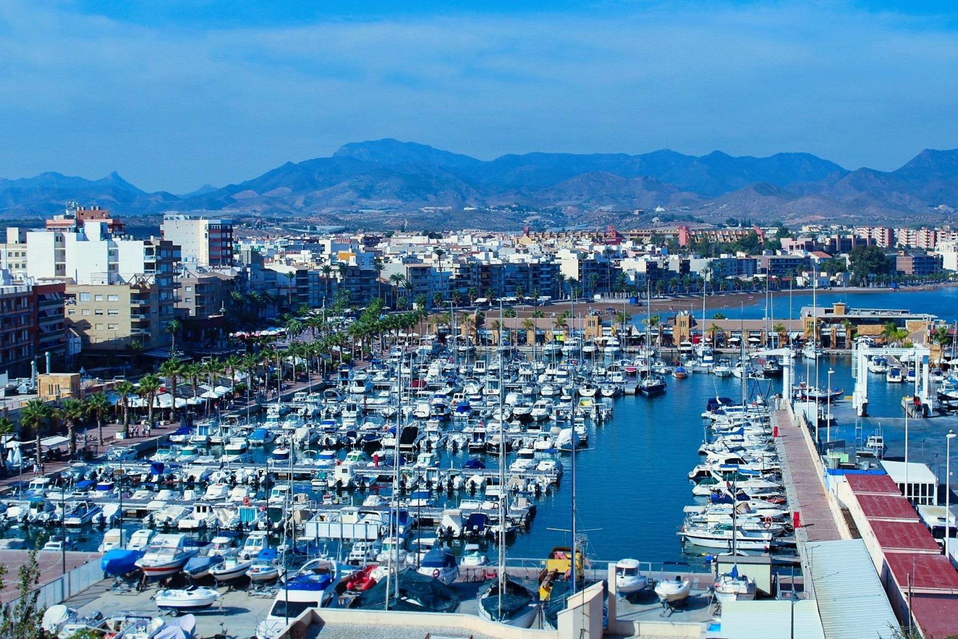 Nouvelle construction - Villa - Fuente Álamo