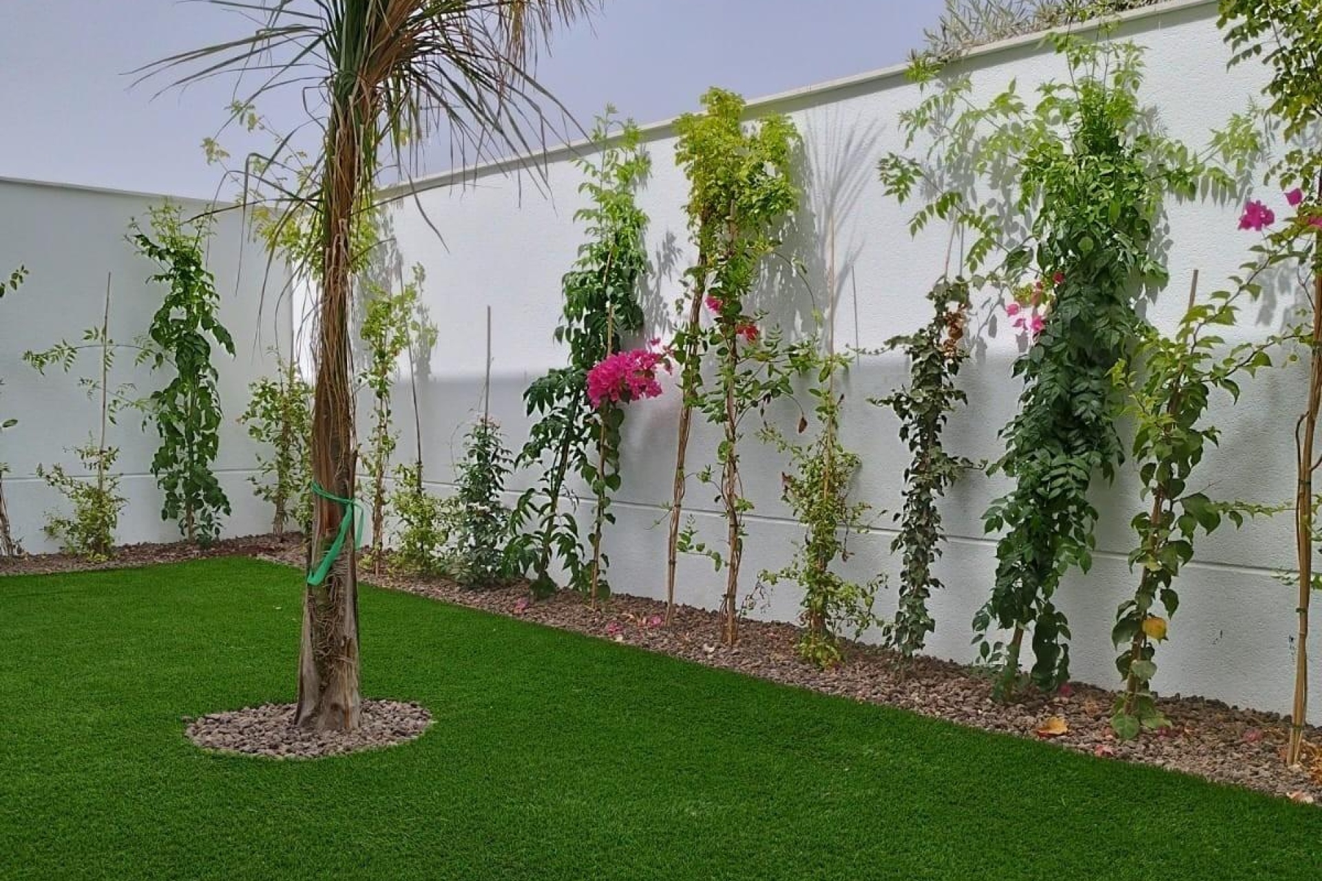 Nouvelle construction - Villa - Mar Menor - San Javier