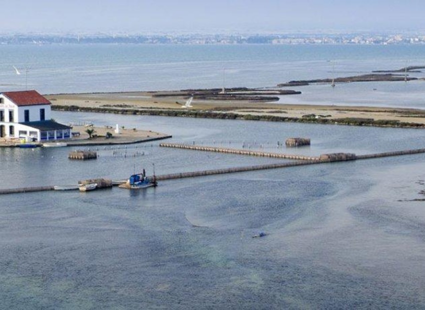 Nouvelle construction - Villa - San Pedro del Pinatar - Mar Menor