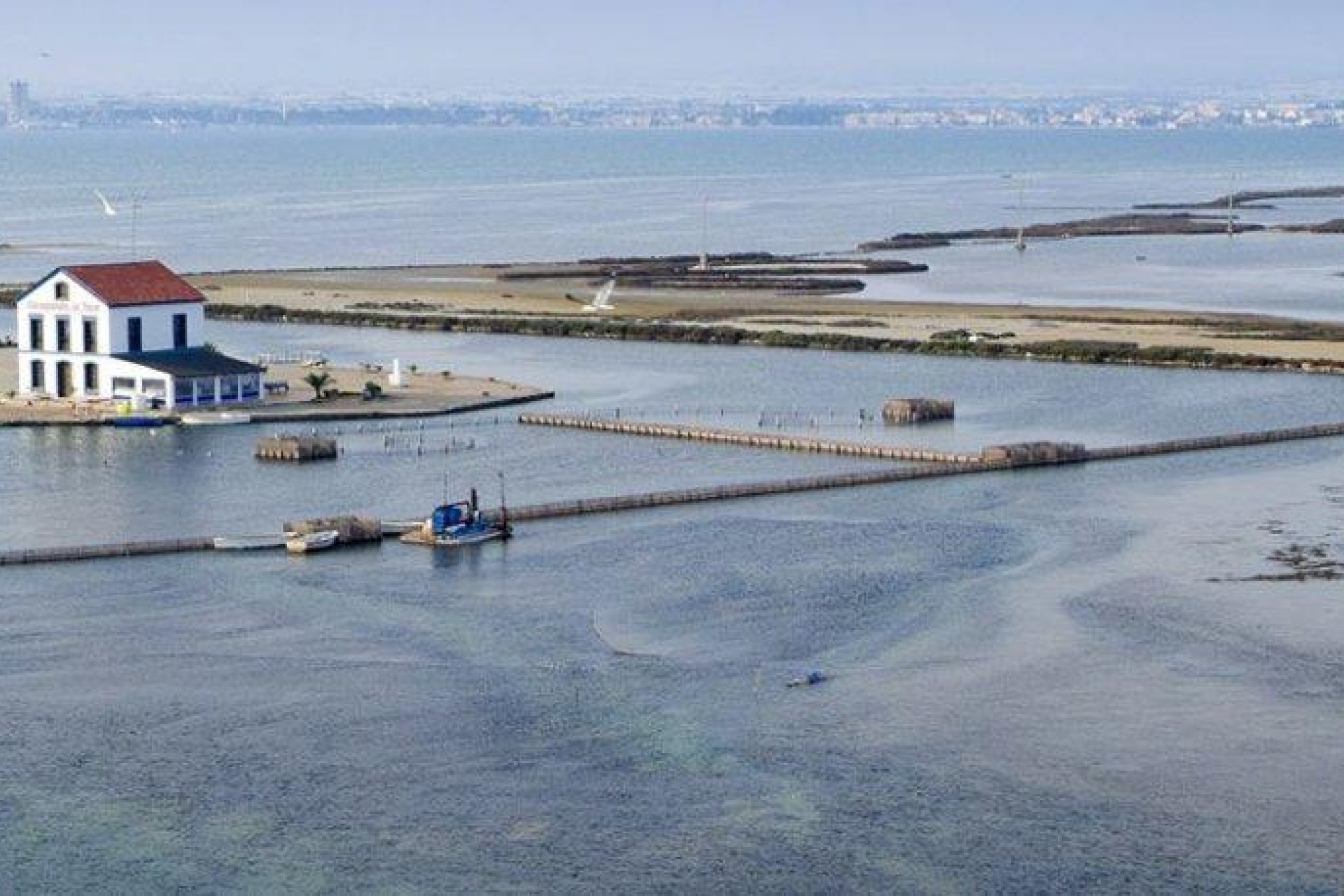 Nouvelle construction - Villa - San Pedro del Pinatar - Mar Menor