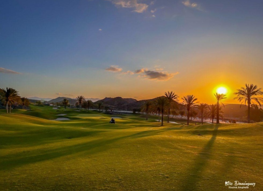 Obra nueva - Apartamento - Pulpi
