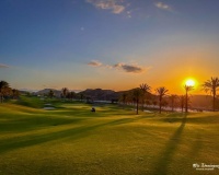 Obra nueva - Apartamento - Pulpi