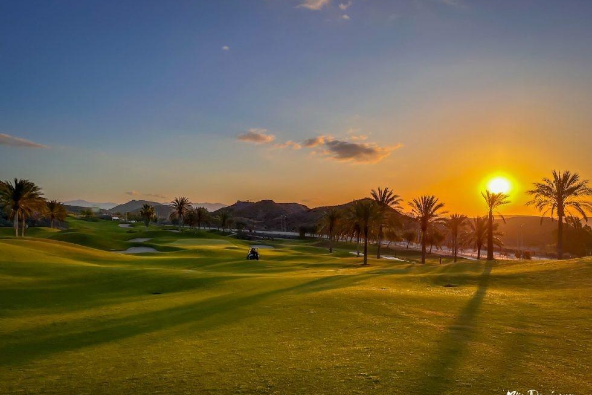 Obra nueva - Apartamento - Pulpi