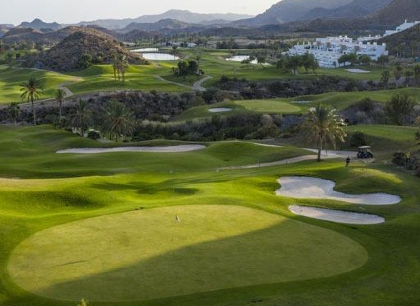 Obra nueva - Apartamento - Pulpi