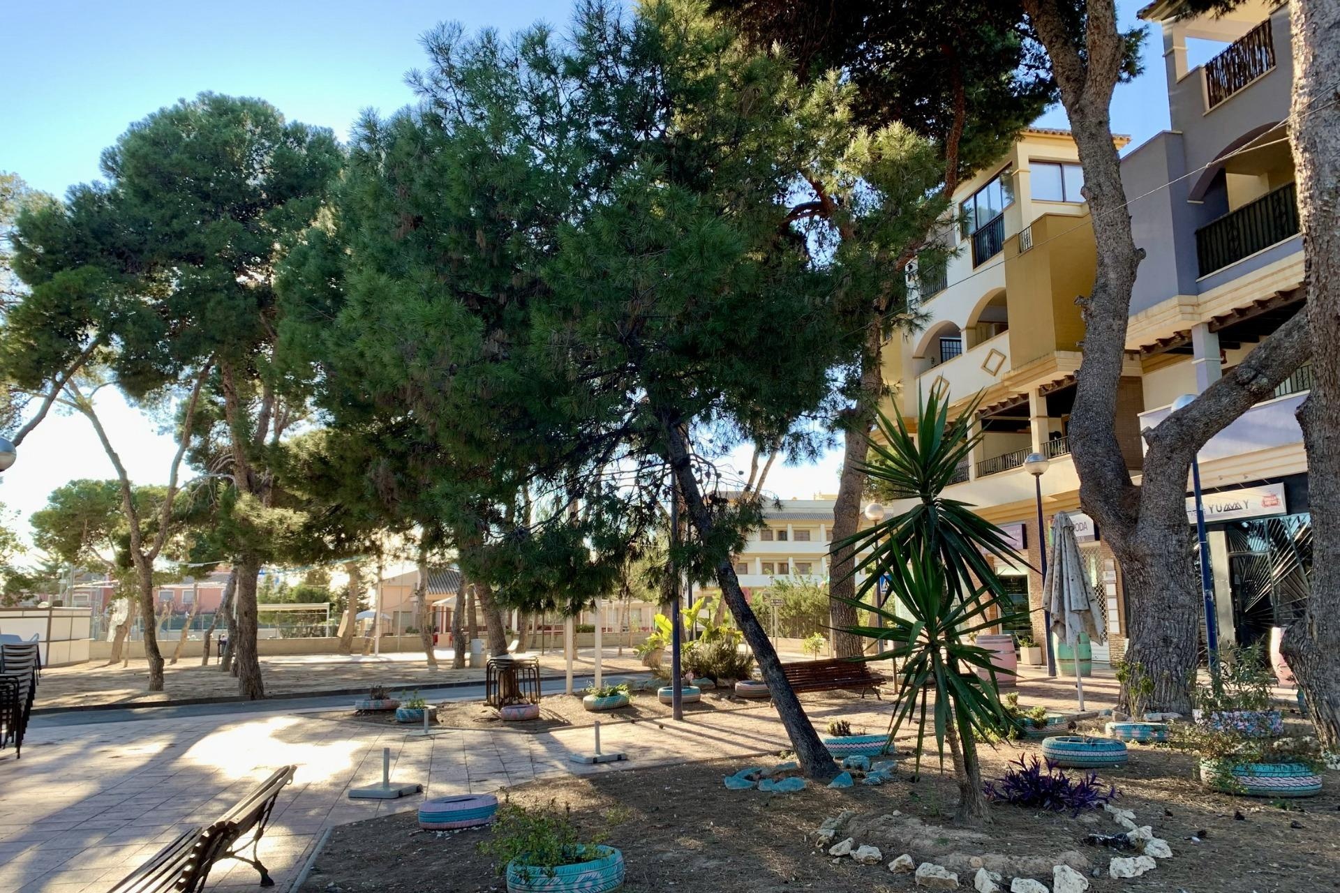 Obra nueva - Apartamento - San Javier - Mar Menor