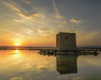 Obra nueva - Apartamento - Santa Pola