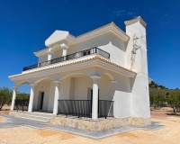 Obra nueva - Villa - Pinoso