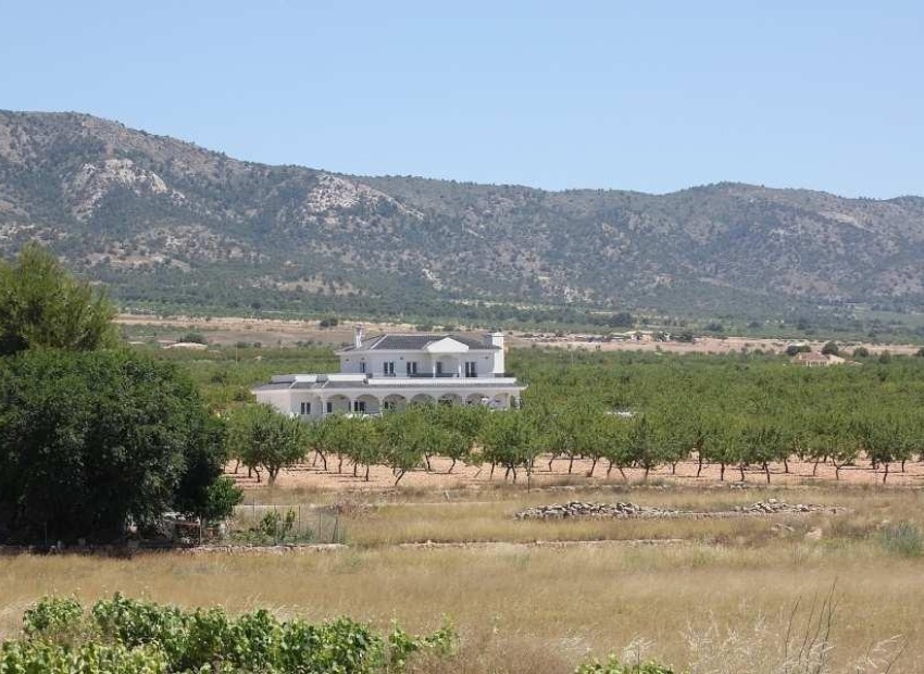 Obra nueva - Villa - Pinoso