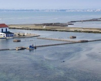 Obra nueva - Villa - San Pedro del Pinatar - Mar Menor