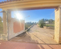 Piscina con árboles