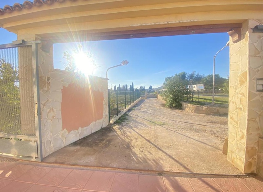 Pool area surrounded by trees