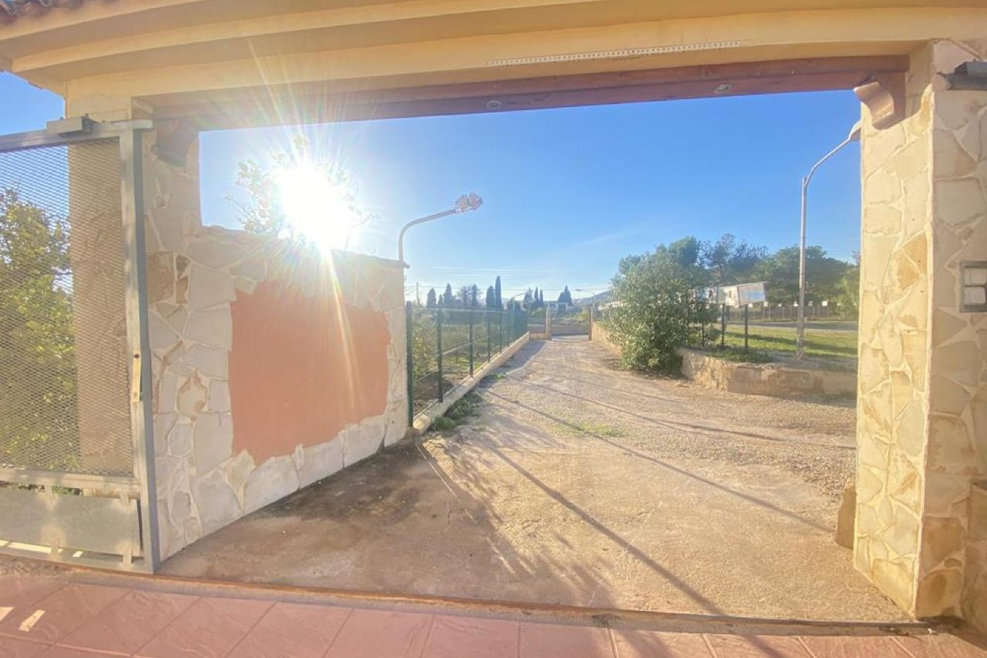 Pool area surrounded by trees