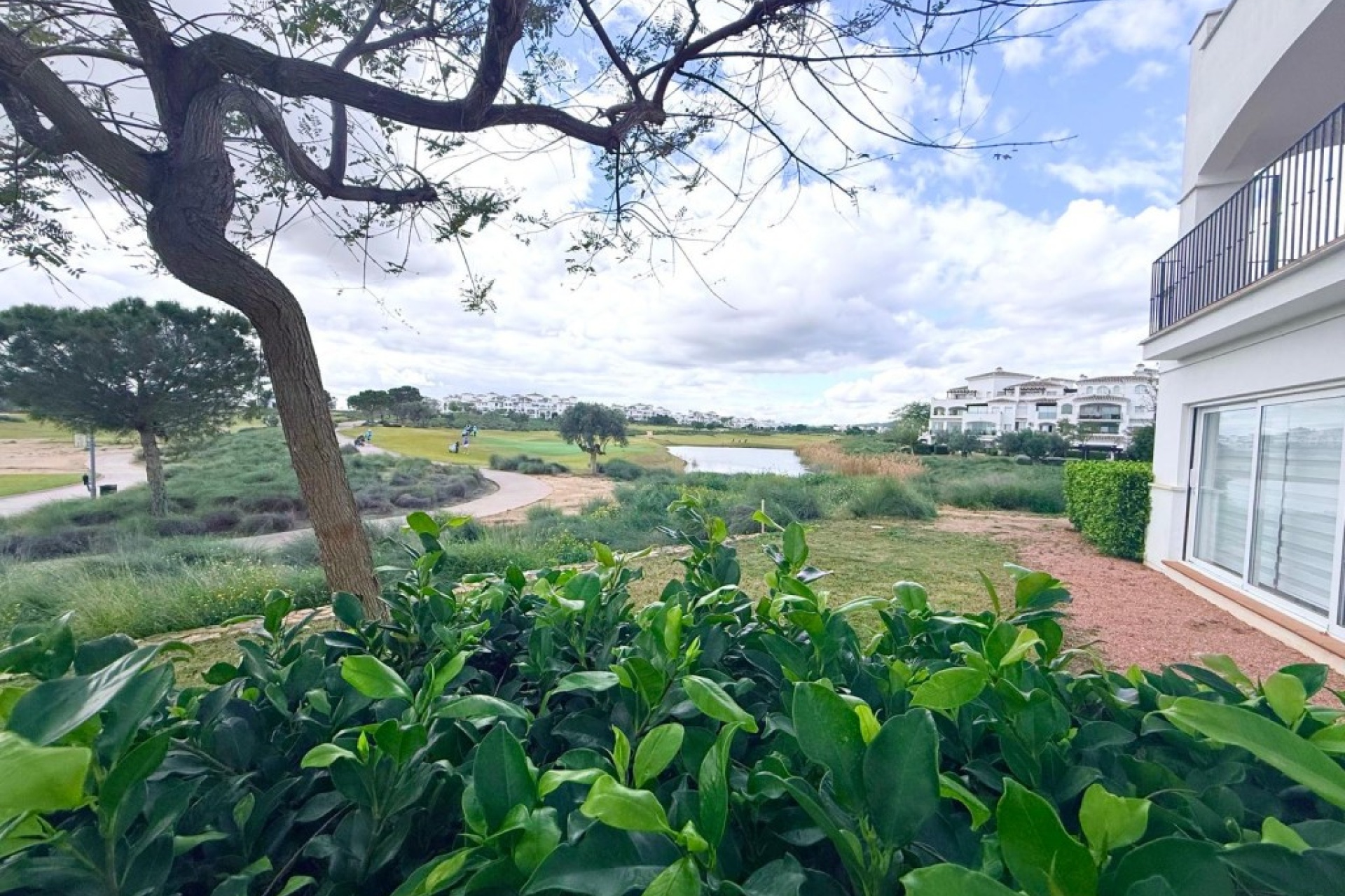 Resale - Apartment - Hacienda Riquelme Golf Resort