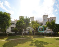 Resale - Apartment - Sucina - Hacienda Riquelme Golf Resort