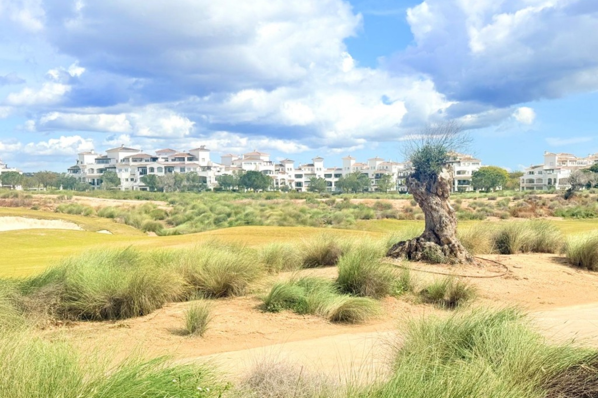 Resale - Apartment - Sucina - Hacienda Riquelme Golf Resort