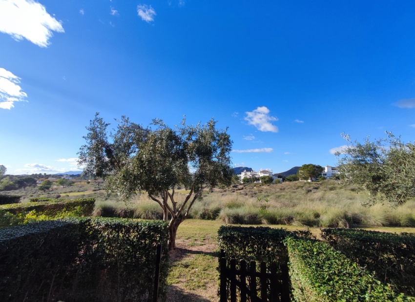 Resale - Apartment - Sucina - Hacienda Riquelme Golf Resort