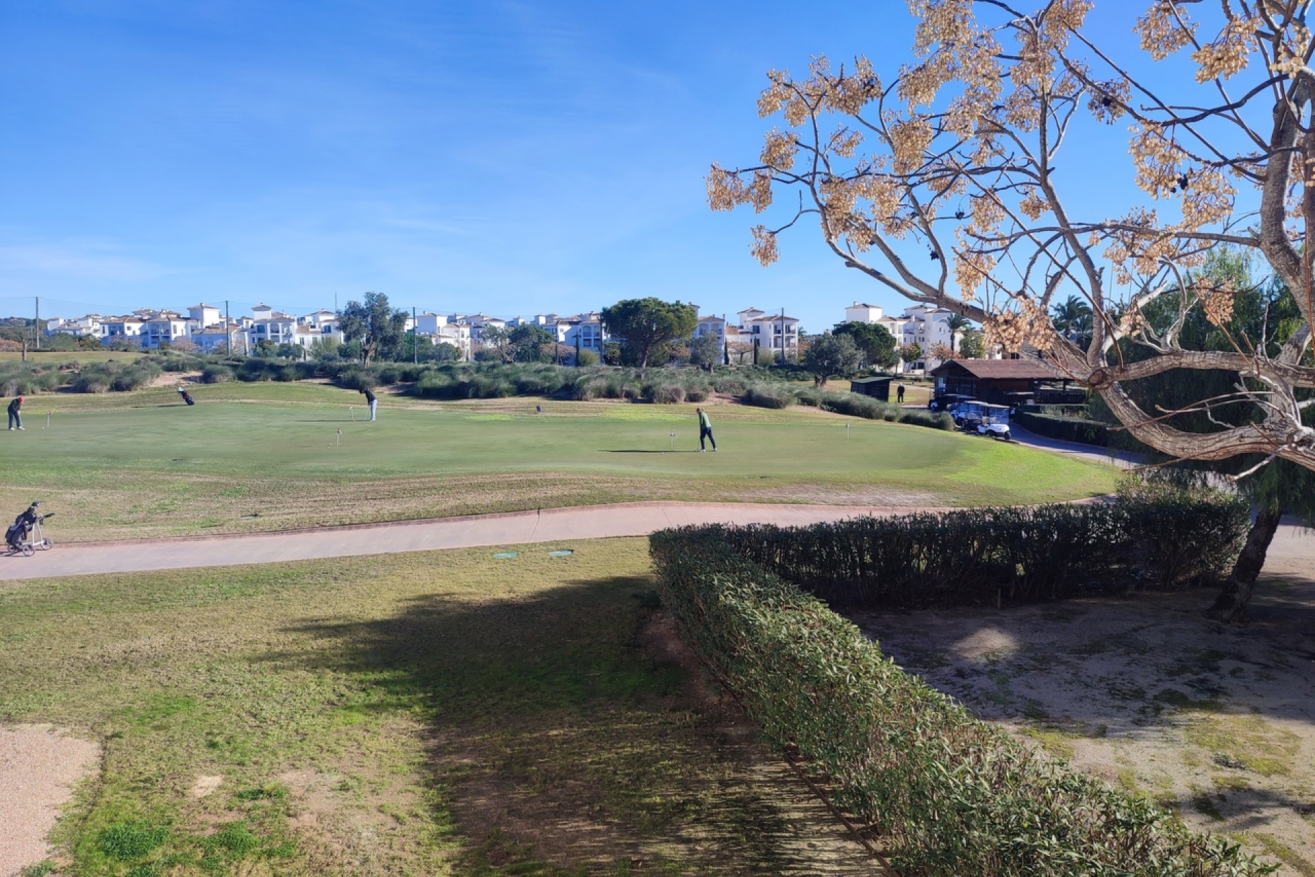 Resale - Apartment - Sucina - Hacienda Riquelme Golf Resort