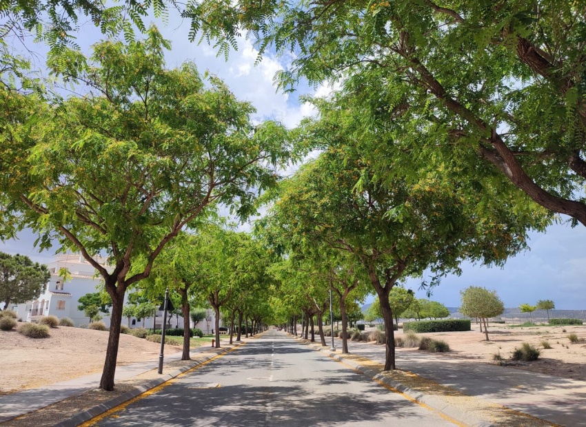 Resale - Apartment - Sucina - Hacienda Riquelme Golf Resort