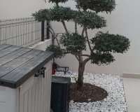 Resale - Villa - Algorfa - La Finca Golf