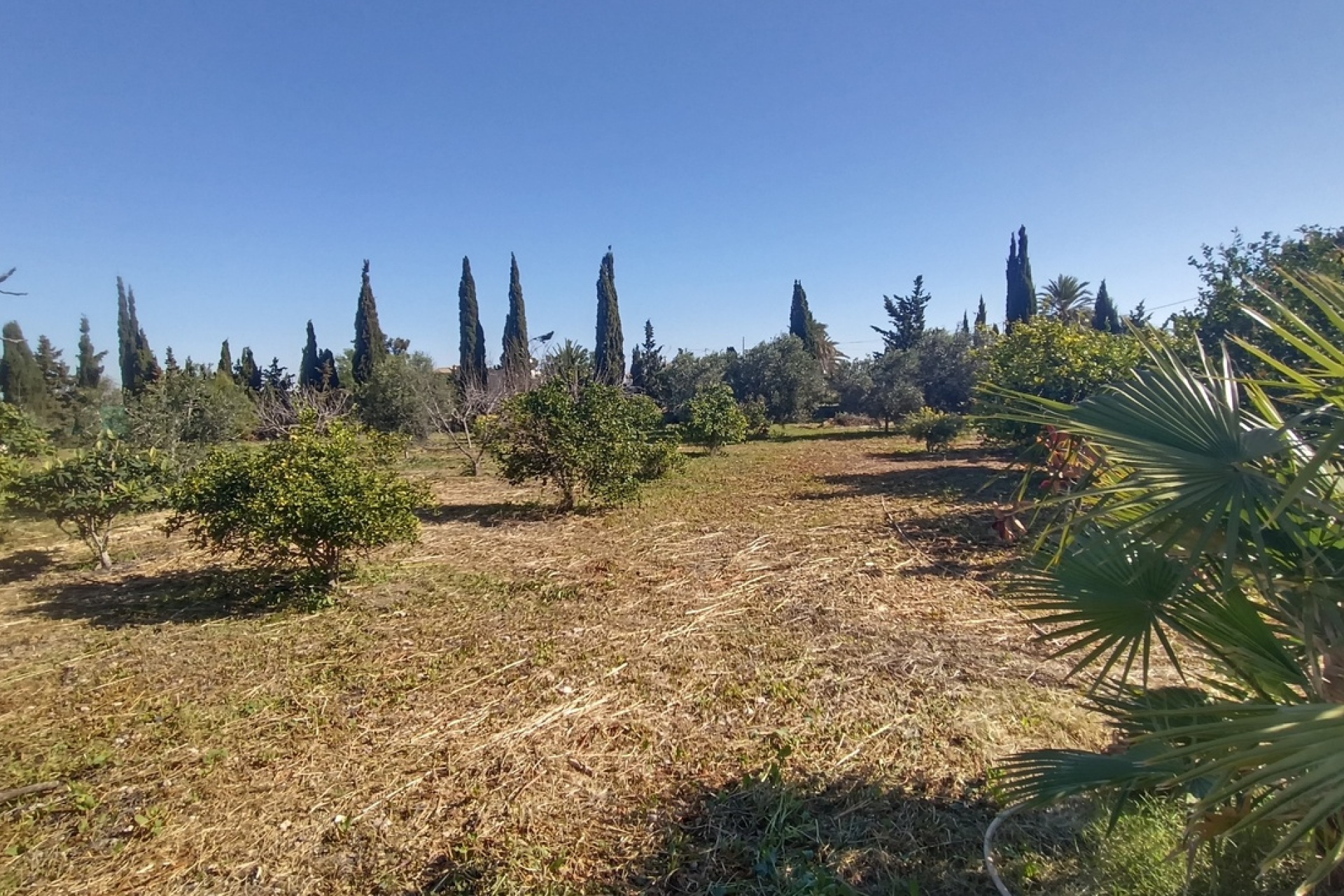 Resale - Villa - Avileses