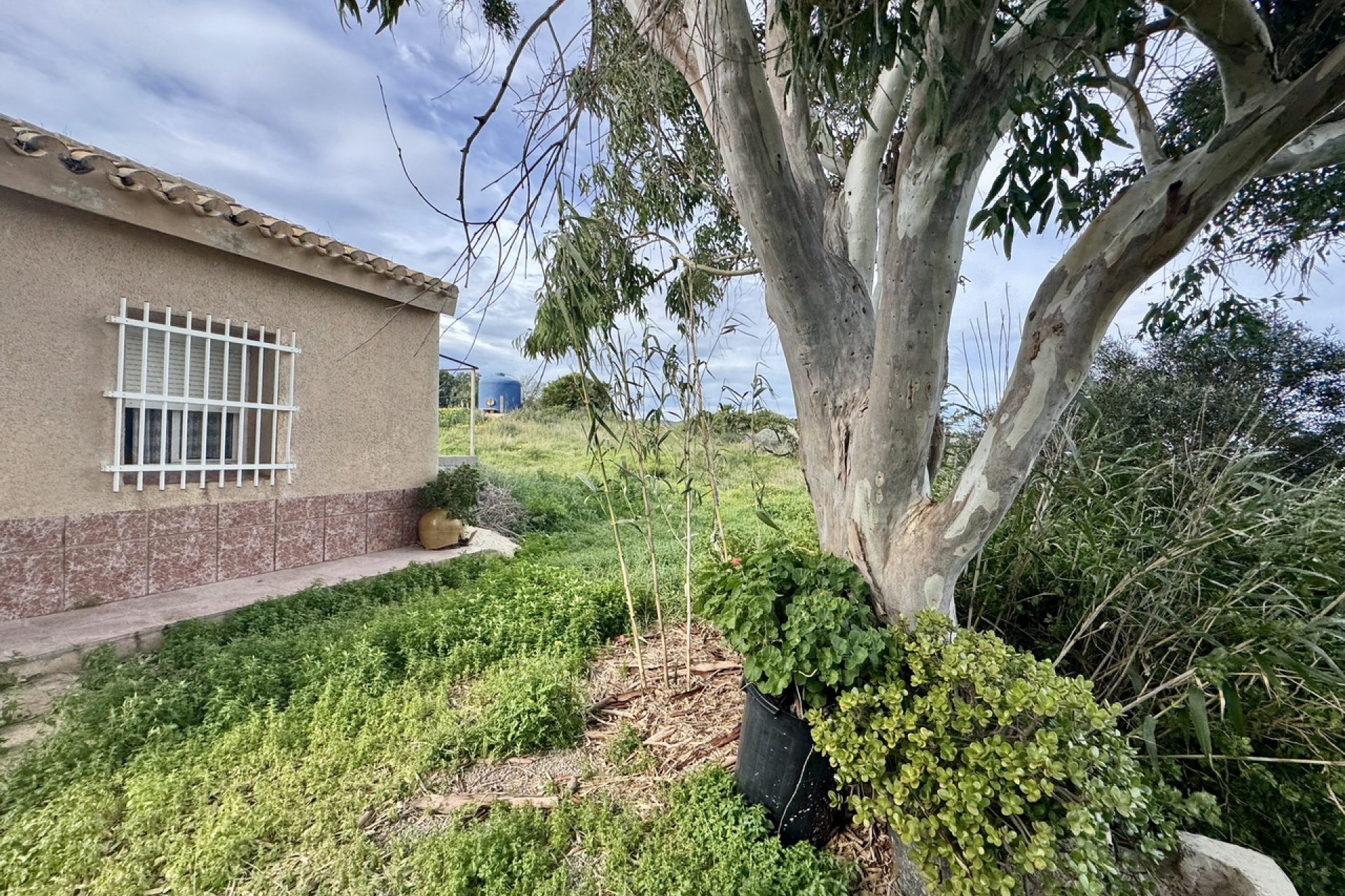 Resale - Villa - Mar Menor - Los Belones