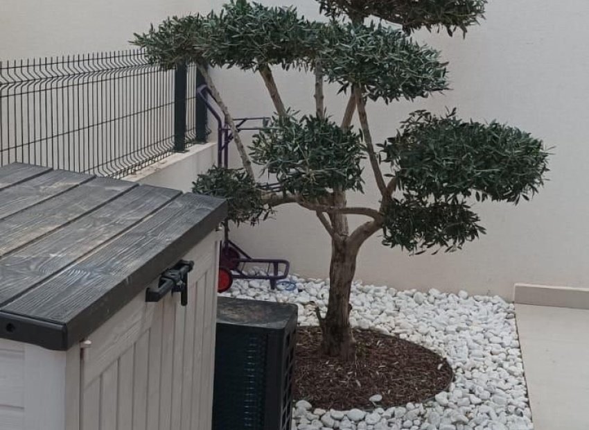 Reventa - Villa - Algorfa - La Finca Golf